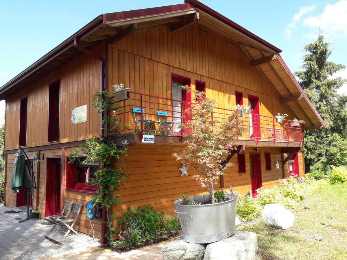 Chalet Luxe 12 Personnes Spa Sauna Vosges-Gerardmer Le Tholy Exteriér fotografie